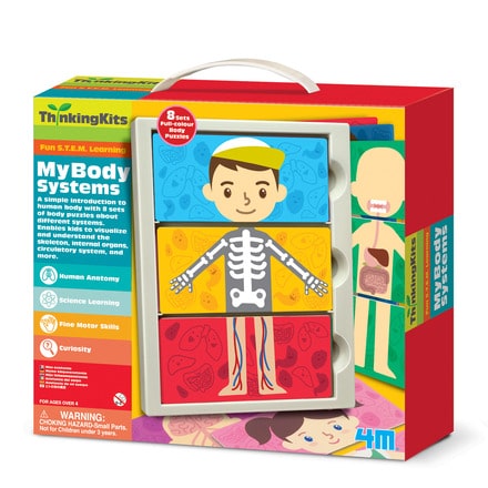 Thinking Kits My Body Systems