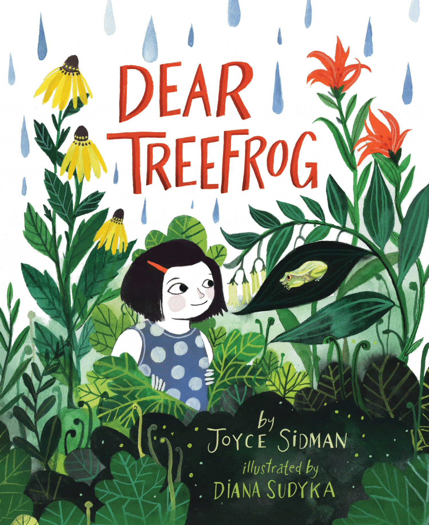 Dear Treefrog