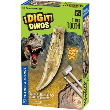 I Dig It! Dino- T Rex Tooth
