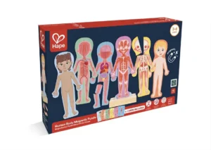 Hape human body magnetic puzzle educational toy