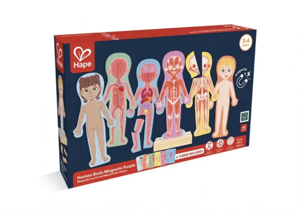Hape human body magnetic puzzle educational toy