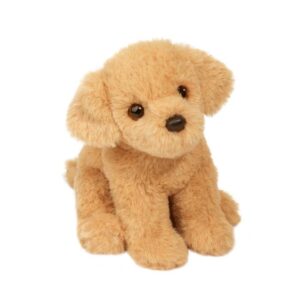 Mini Golden Retriever.jpg