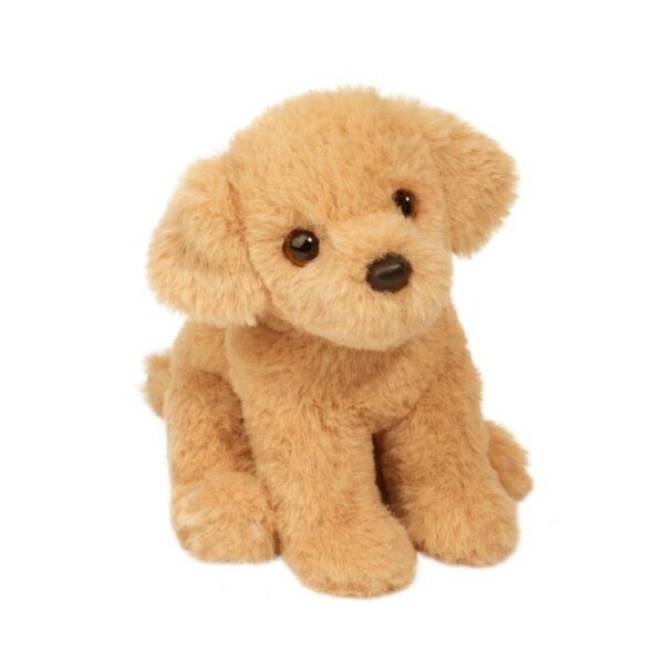 Mini Golden Retriever.jpg
