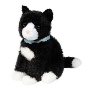 Plush black and white cat with blue collar.