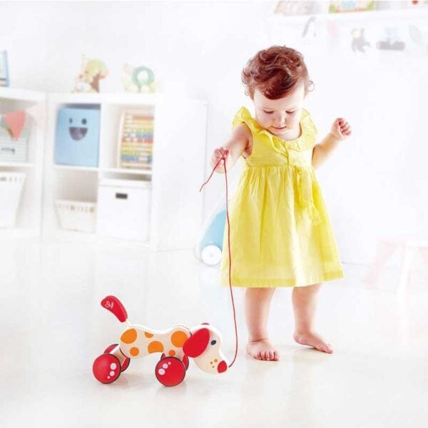 Child playing with pull toy dog