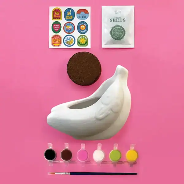 DIY planter kit with paints and seeds.
