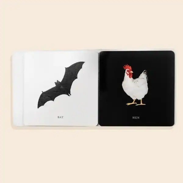 Illustrations of bat and hen on black and white pages.