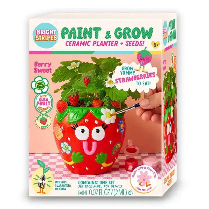 Paint and Grow strawberry planter with seeds kit.