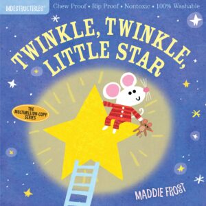 Mouse and star on children's book cover.