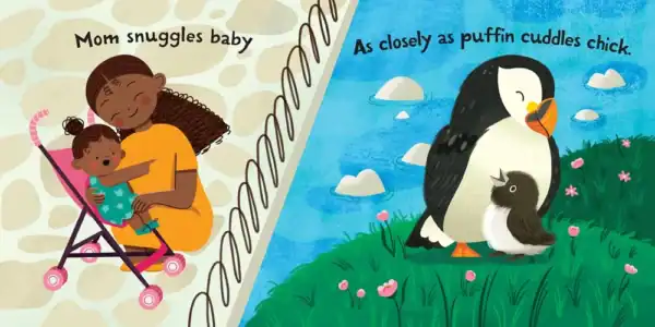 Mom and baby, puffin and chick cuddling.