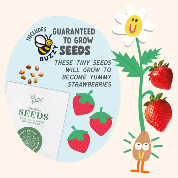 Strawberry seeds guaranteed to grow delicious strawberries.