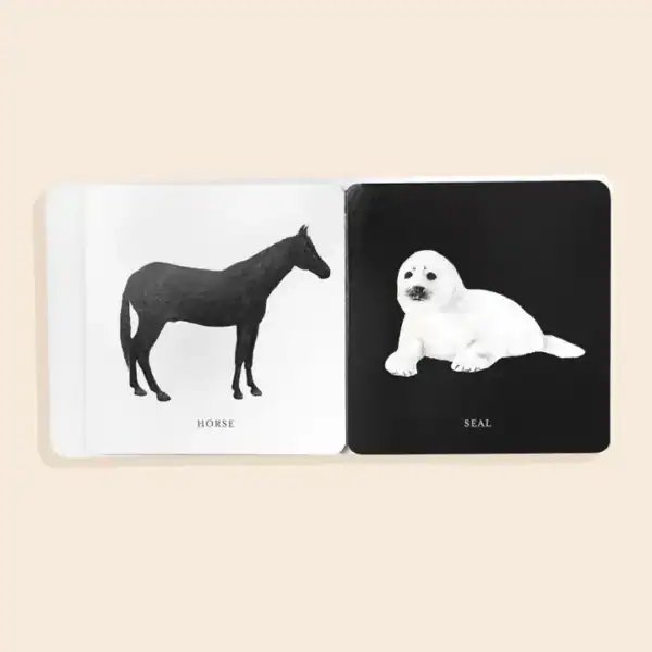 Book pages showing horse and seal illustrations.