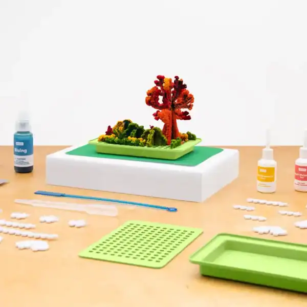 Crystal growing kit with colorful tree display