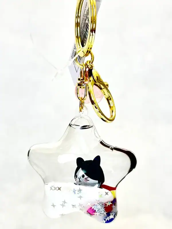 Star-shaped keychain with cat figure inside.