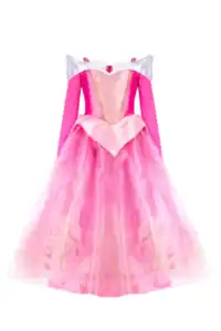 Pink princess dress with gold embroidery details.