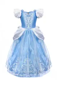 Blue and white princess dress with intricate patterns.