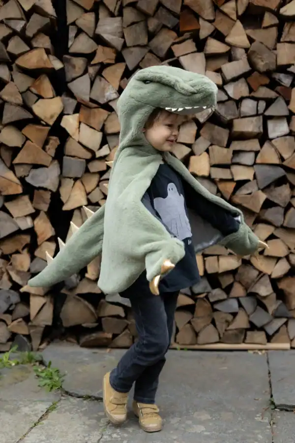 Child wearing dinosaur costume in front of logs.