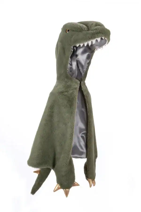 Green dinosaur costume with gold claws for kids.