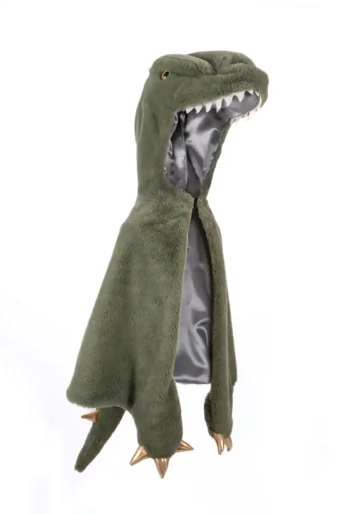 Green dinosaur costume with gold claws for kids.