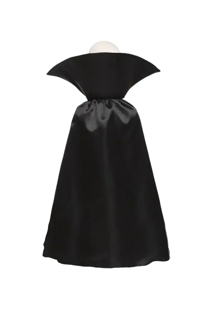 Elegant black satin evening gown with high collar.