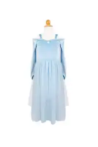 Blue princess dress with lace trim