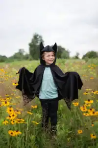 Child in bat costume in flower field
