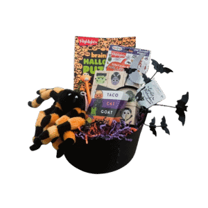 Personalized Halloween cauldron gift from Wildlings Toy Boutique featuring Halloween puzzles, toys, plush spider, activity books, and bat accessory.