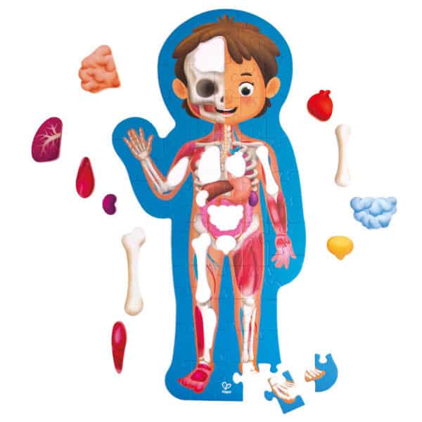 Children's body puzzle with organs and bones