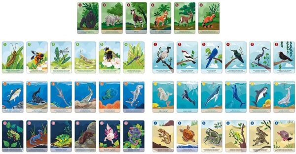 Animal-themed playing cards in rows.