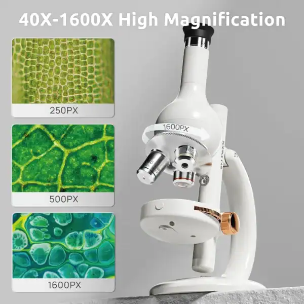 Microscope with high magnification and cell images.