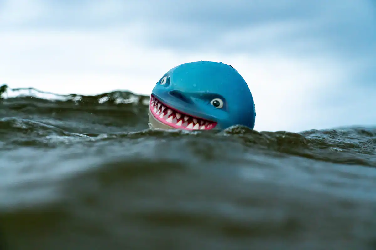 Smiling shark toy floating on water