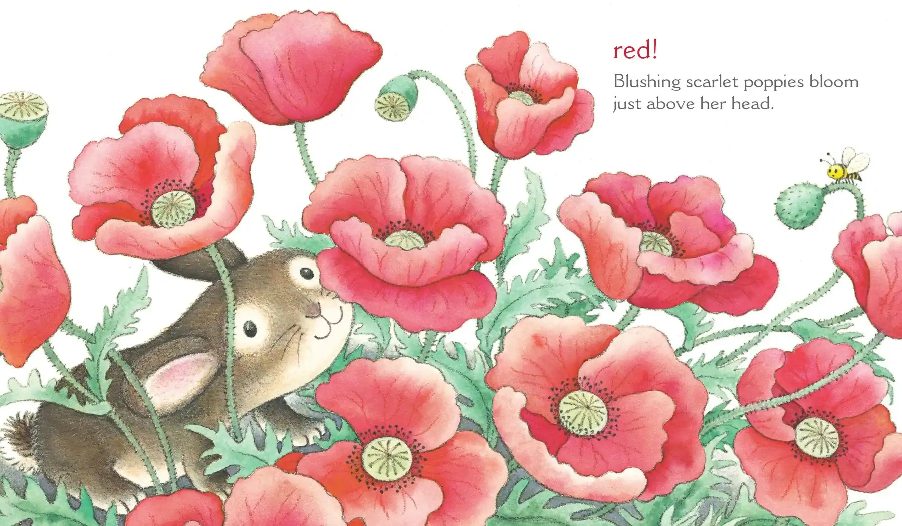 Cute rabbit among vibrant red poppies.