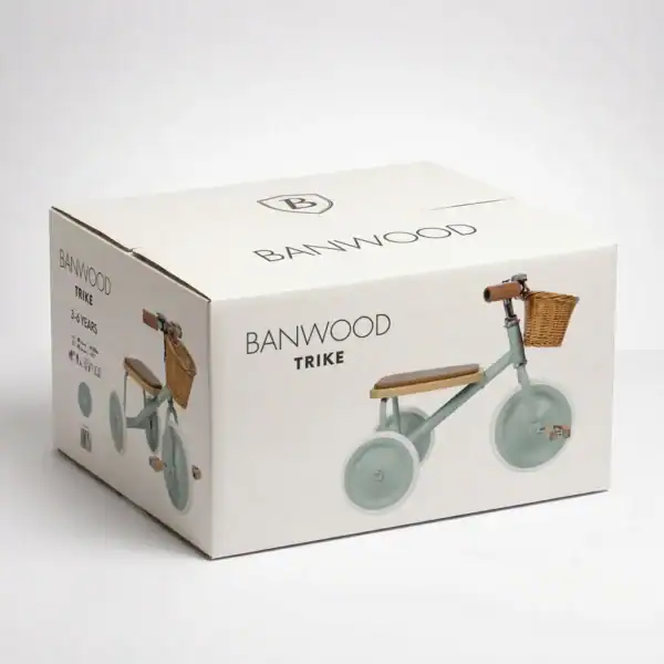 Banwood trike box for children 2-6 years