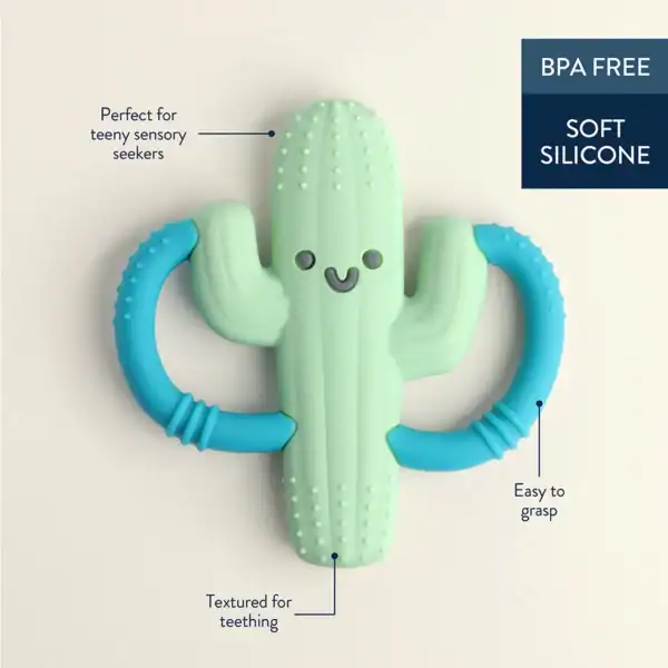 Cactus-shaped silicone teether for babies, BPA-free.