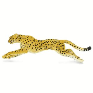 Cheetah running on white background