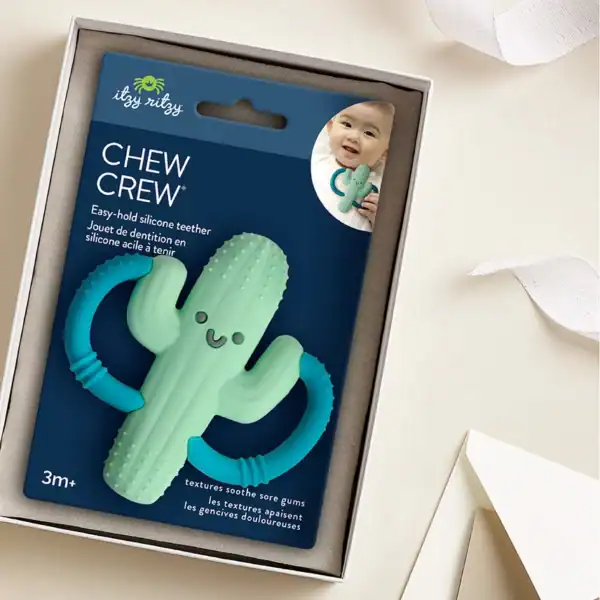 Cactus-shaped silicone teether in gift box.