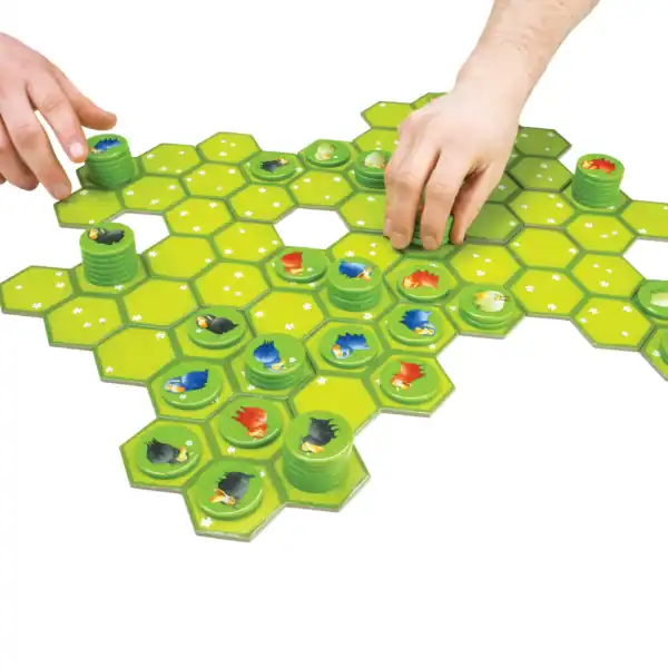 Hands placing bird tokens on hex board game