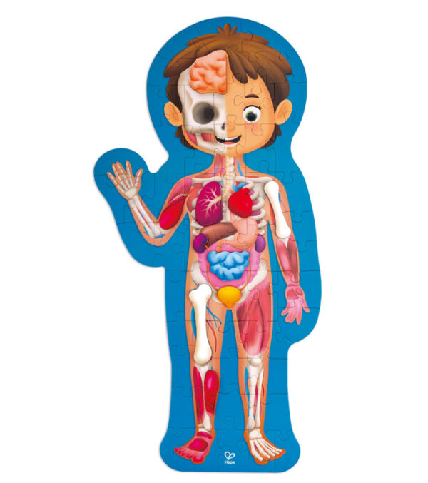 human body puzzle