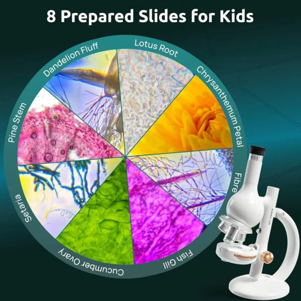 microscope lab edition