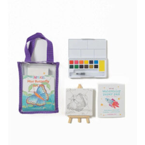 mini butterfly art kit