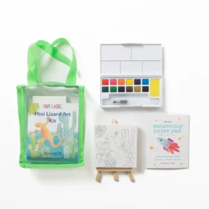 mini lizard art kit