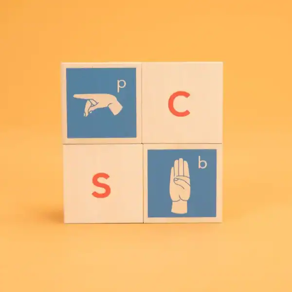 american sign language blocks