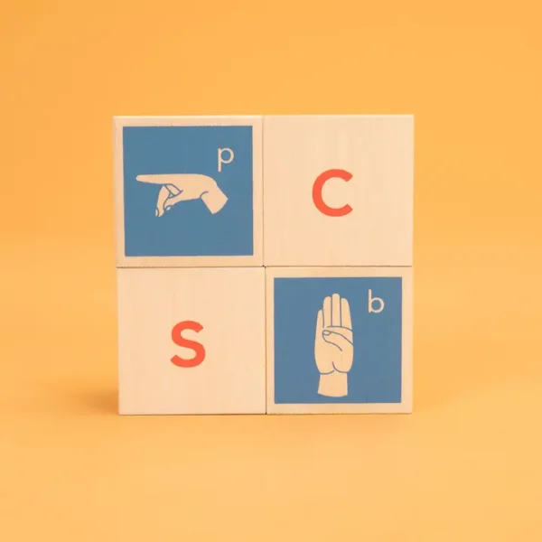 american sign language blocks