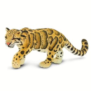 clouded leopard