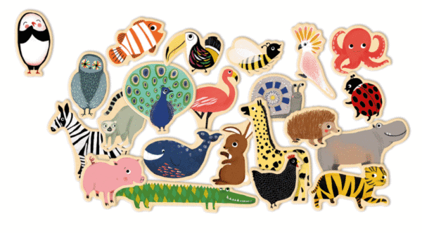 wooden magnets magnimo