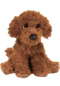 ginger the miniature poodle