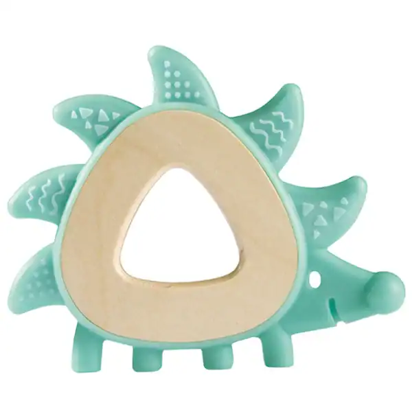 hedgehog teeth.webp
