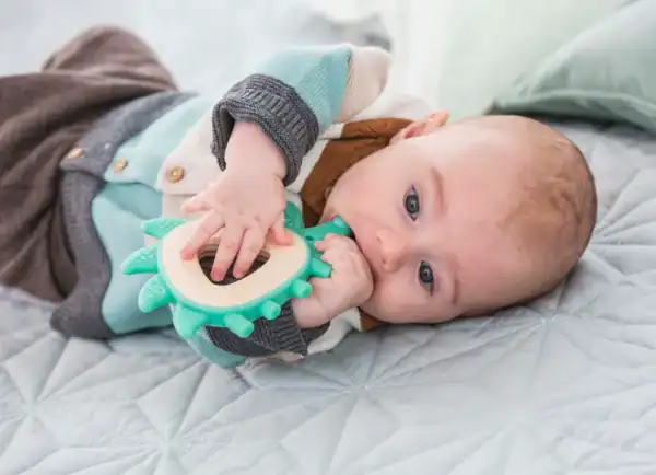 hedgehog teether.webp