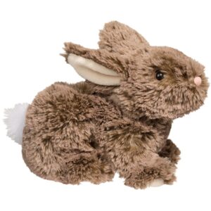 taylor the mocha bunny