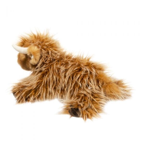wallace the highland cow